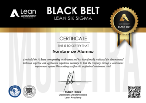 Black Belt - Lean Six Sigma